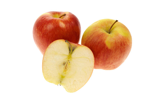 Ambrosia Image